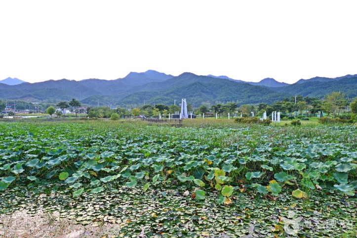 죽동제 여행 추천 - 메고지고