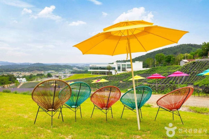 정읍 허브원 여행 추천 - 메고지고