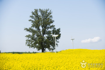 안성맞춤가족공원 여행 추천 - 메고지고