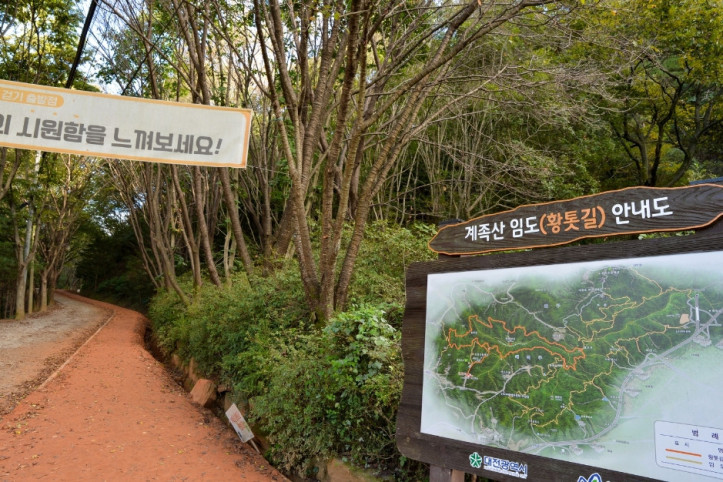 장동산림욕장 여행 추천 - 메고지고