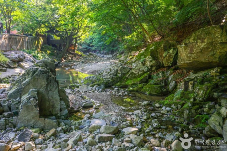 장안사계곡 여행 추천 - 메고지고
