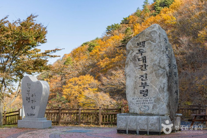 진부령 여행 추천 - 메고지고