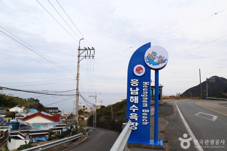흥남해수욕장 여행 추천 - 메고지고