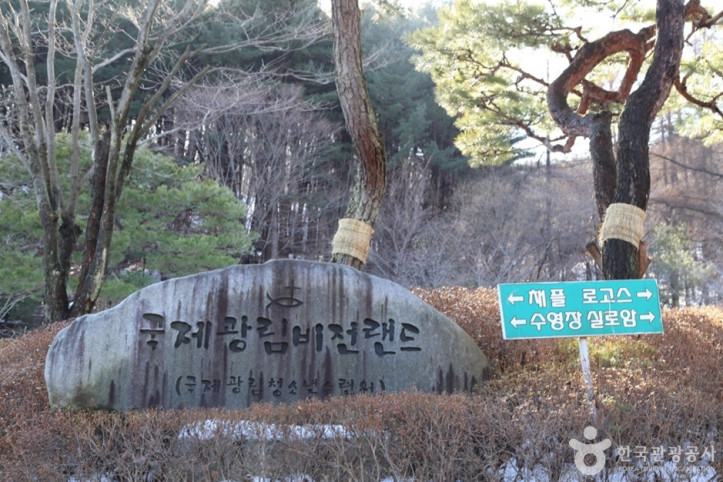 국제광림비전랜드 여행 추천 - 메고지고