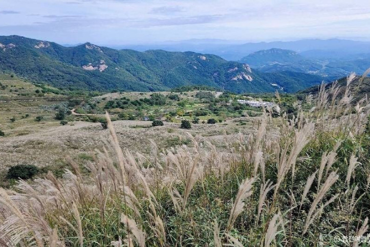황매산 억새군락지 여행 추천 - 메고지고