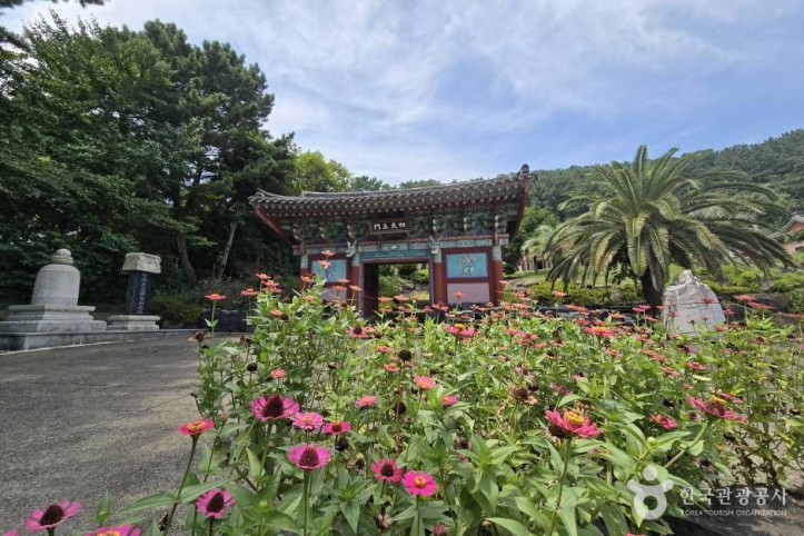 보림사(제주) 여행 추천 - 메고지고