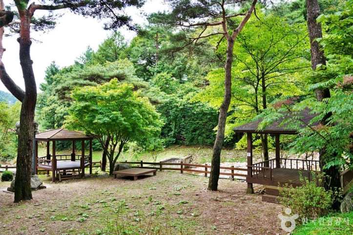 박달재자연휴양림 여행 추천 - 메고지고