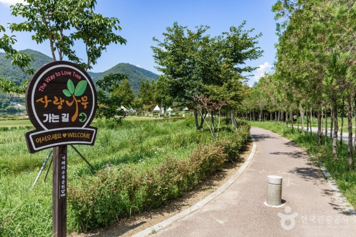 거례리사랑나무 여행 추천 - 메고지고