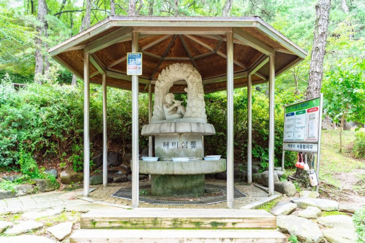 테미공원 여행 추천 - 메고지고