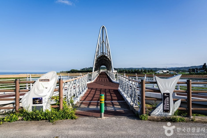 울진은어다리 여행 추천 - 메고지고
