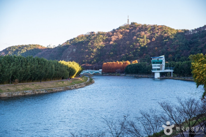 태화강 여행 추천 - 메고지고