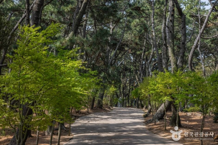 부산 암남공원 여행 추천 - 메고지고