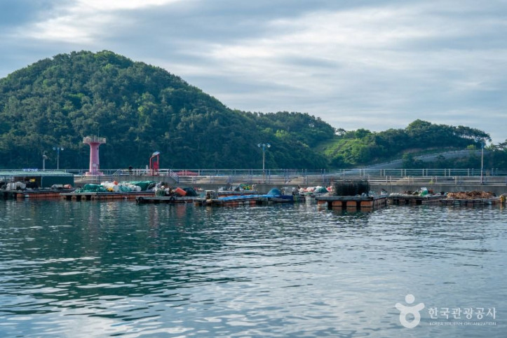 원전선착장 여행 추천 - 메고지고
