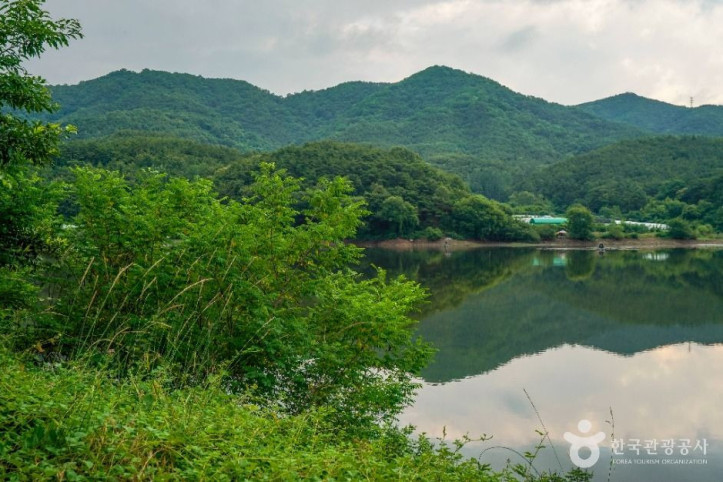 도남지 여행 추천 - 메고지고