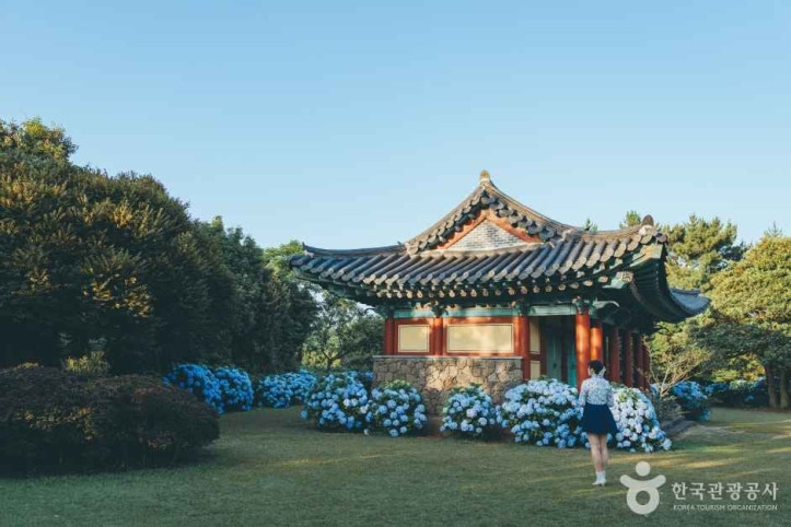 혼인지 여행 추천 - 메고지고
