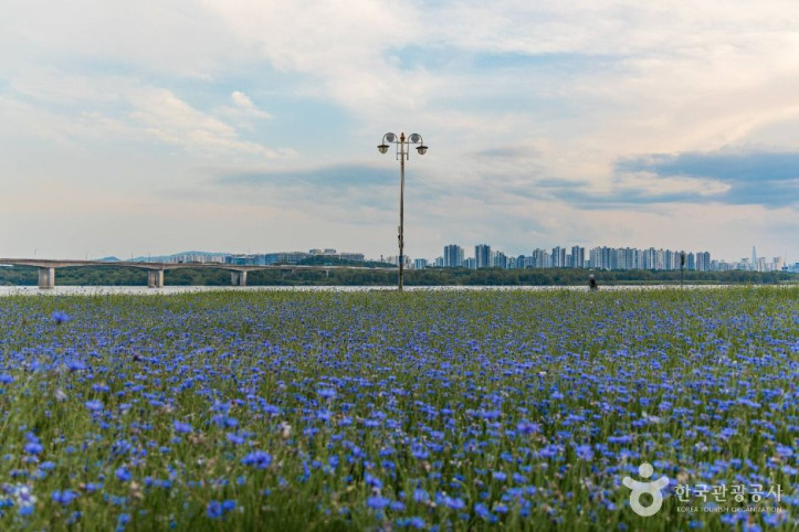 남양주한강공원(삼패지구) 여행 추천 - 메고지고