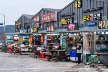 수룡항 포구 여행 추천 - 메고지고