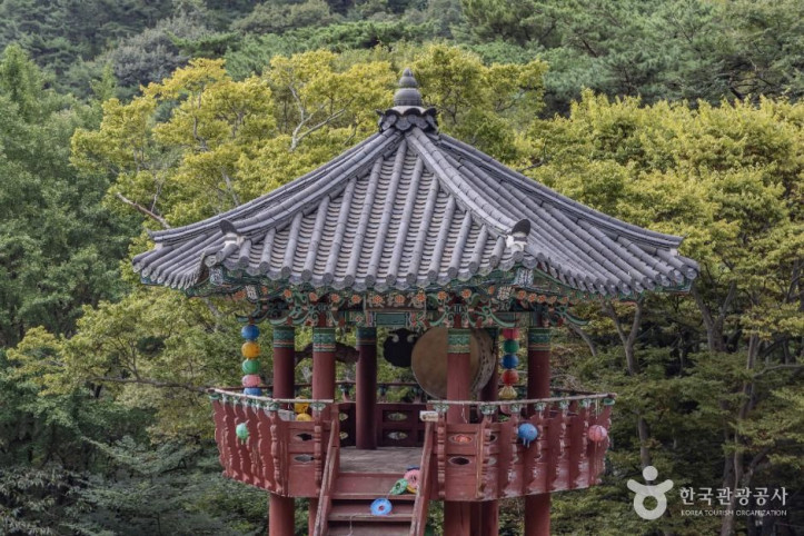 안정사 여행 추천 - 메고지고