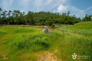 자라도선착장 여행 추천 - 메고지고