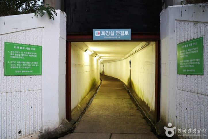 안양천 여행 추천 - 메고지고