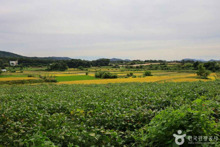 여주 오감도토리마을 여행 추천 - 메고지고