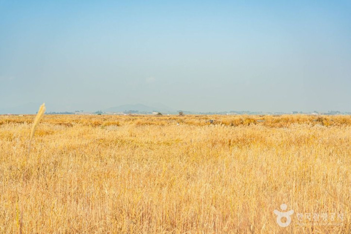 산이반도 여행 추천 - 메고지고