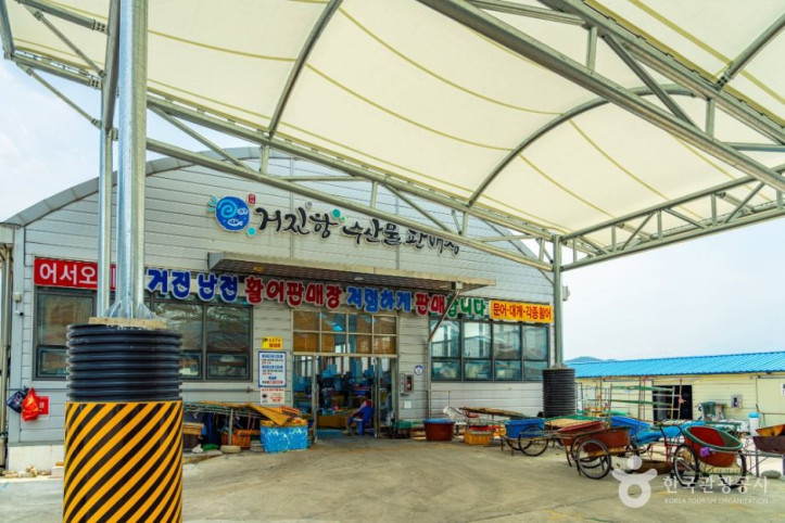 거진항 여행 추천 - 메고지고