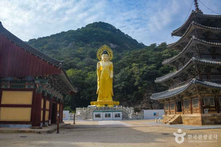 보은 법주사 [유네스코 세계유산] 여행 추천 - 메고지고
