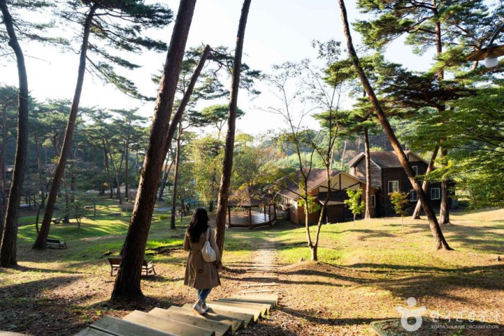 안면도자연휴양림 여행 추천 - 메고지고