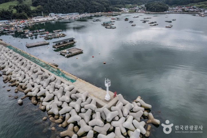 장포항 여행 추천 - 메고지고