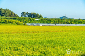 음성큰바위얼굴테마파크 여행 추천 - 메고지고