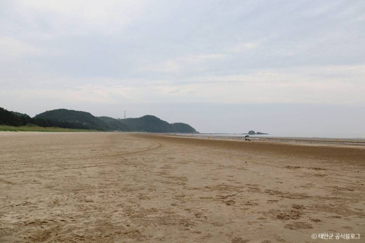 안면해수욕장 여행 추천 - 메고지고