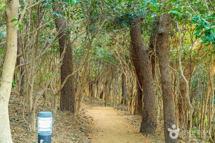 동백공원 여행 추천 - 메고지고