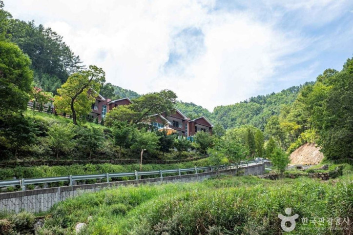 독용산성 자연휴양림 여행 추천 - 메고지고