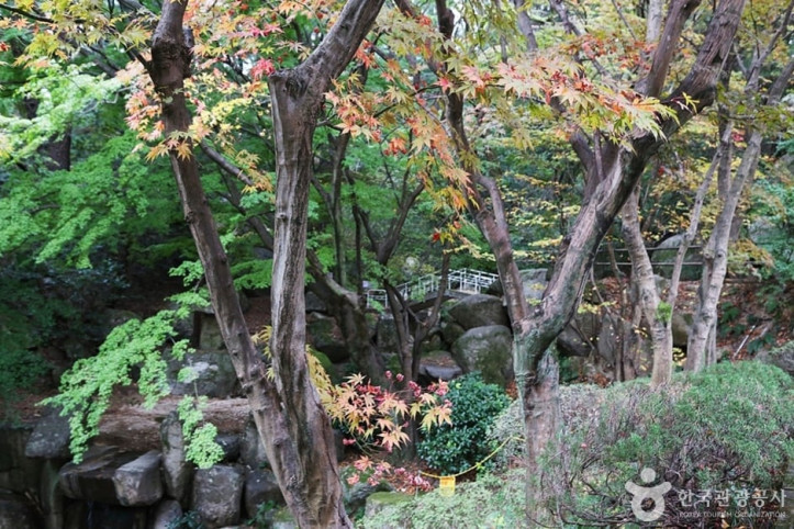 금강식물원 여행 추천 - 메고지고