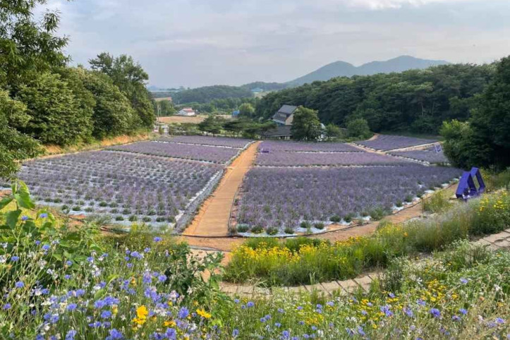 고창 청농원 여행 추천 - 메고지고