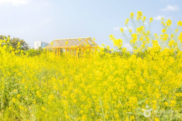 석산곶 여행 추천 - 메고지고