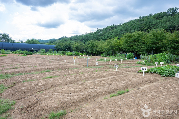 원두막주말농장 여행 추천 - 메고지고