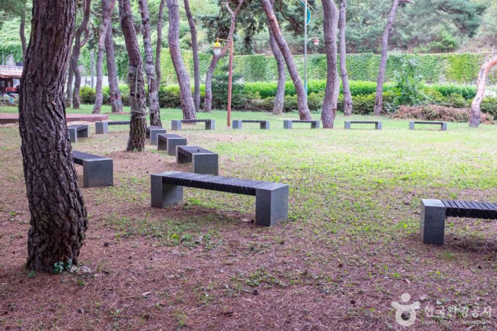 중평솔밭 여행 추천 - 메고지고