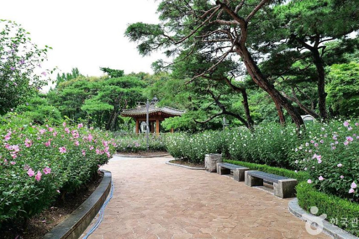 무궁화동산 여행 추천 - 메고지고