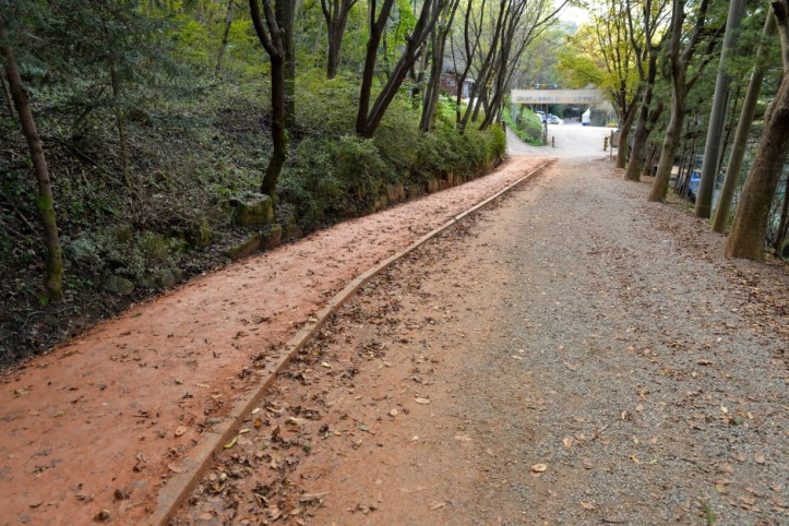 장동산림욕장 여행 추천 - 메고지고