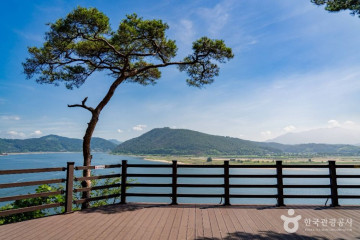 윤동주 유고보존 정병욱 가옥 여행 추천 - 메고지고