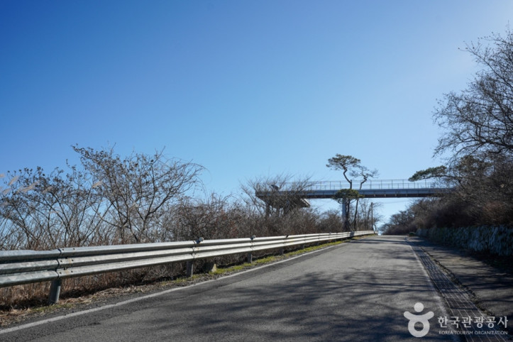 금오산전망대 여행 추천 - 메고지고