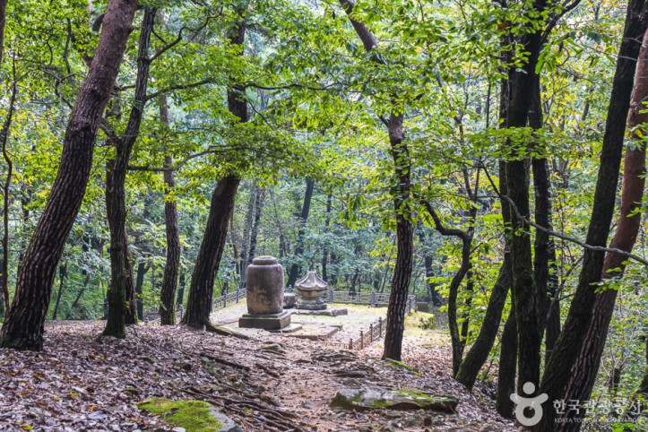 청룡사(충주) 여행 추천 - 메고지고