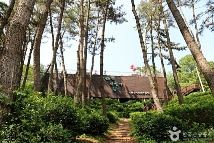 익산산림조합산림문화체험관 여행 추천 - 메고지고
