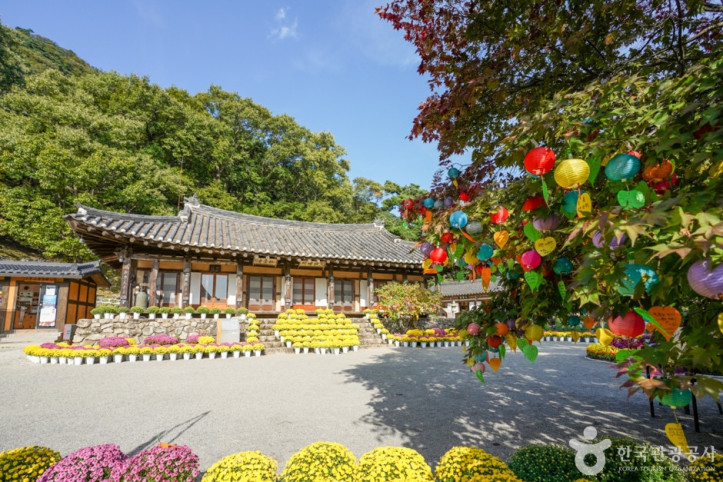 도리사(구미) 여행 추천 - 메고지고