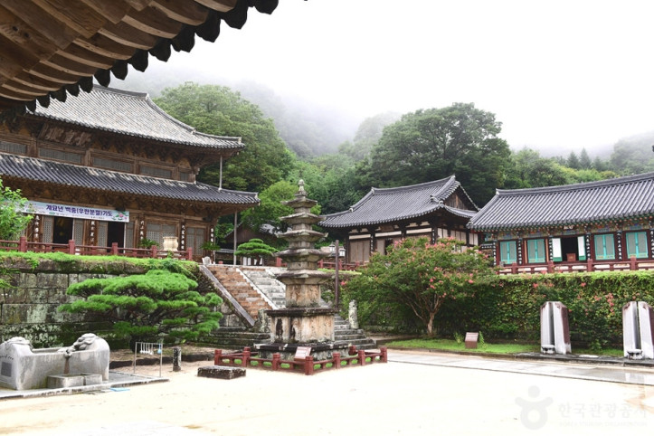 구례 관광특구 여행 추천 - 메고지고