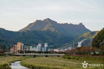 문경 오미자테마공원 여행 추천 - 메고지고