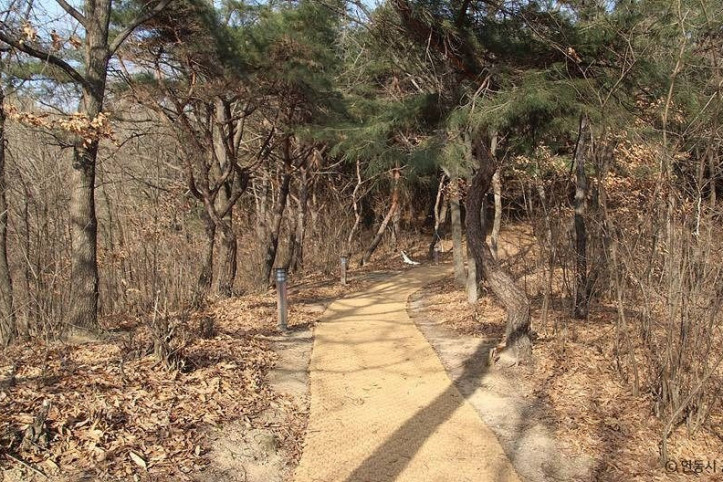 검무산 여행 추천 - 메고지고
