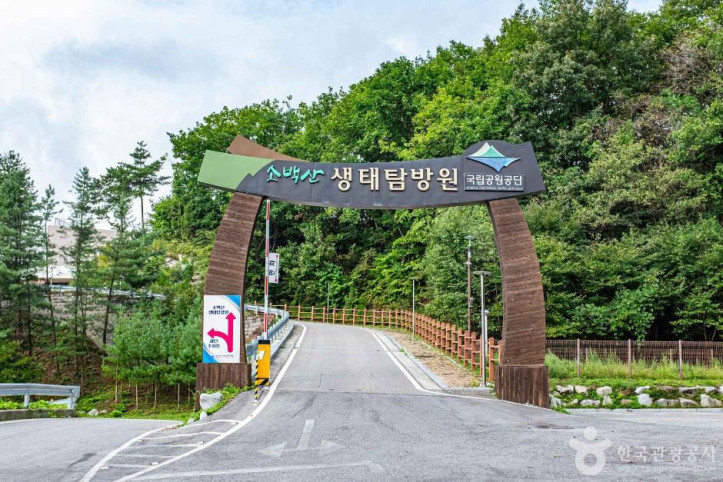 소백산 생태탐방원 여행 추천 - 메고지고
